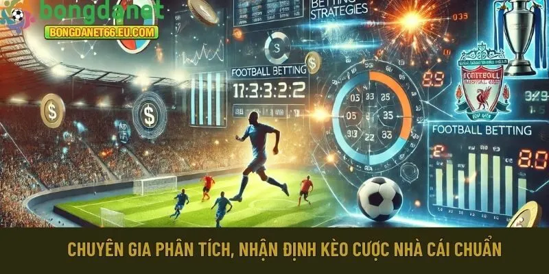 Bongdanet 66 luôn có chuyên gia phân tích